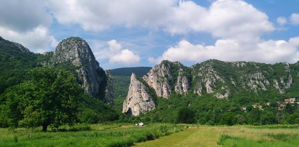 Odmaraliste Vlasko Zdrelo Πίροτ Εξωτερικό φωτογραφία