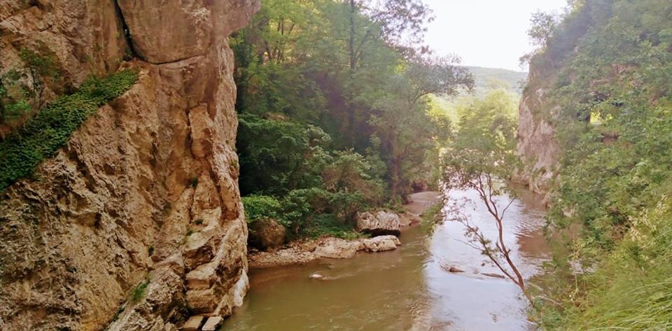 Odmaraliste Vlasko Zdrelo Πίροτ Εξωτερικό φωτογραφία