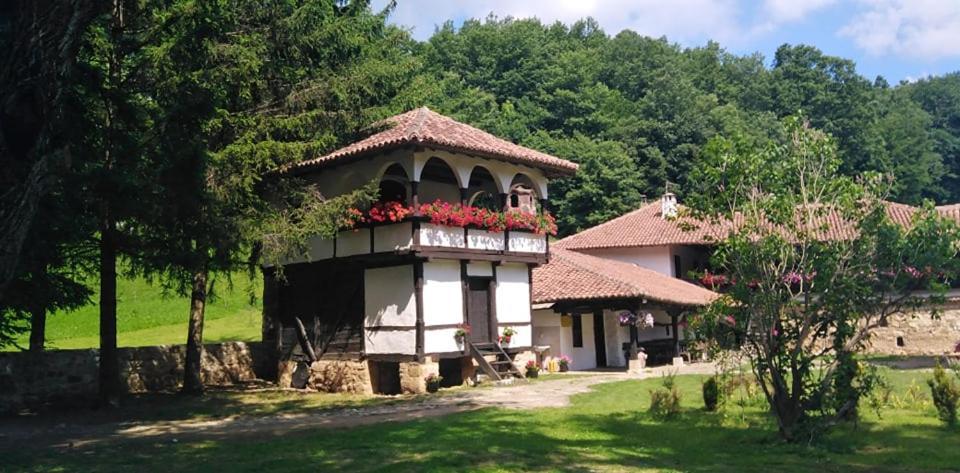 Odmaraliste Vlasko Zdrelo Πίροτ Εξωτερικό φωτογραφία