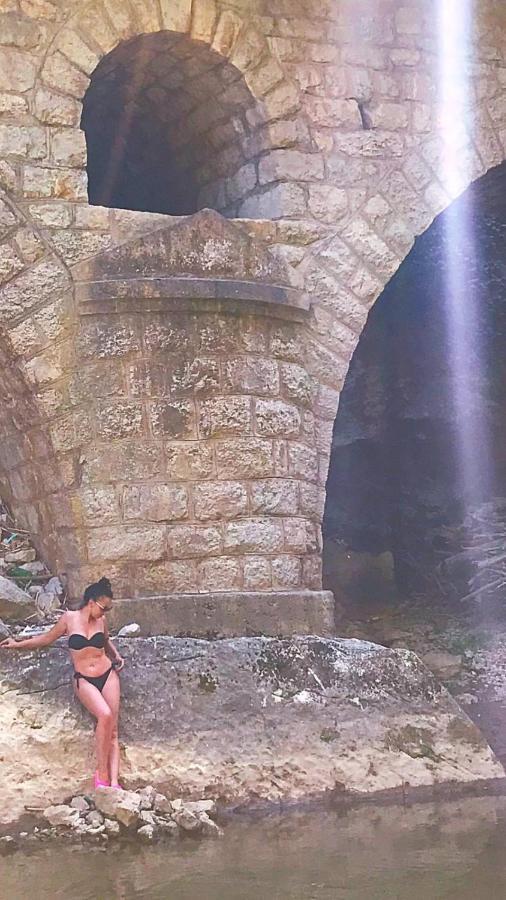 Odmaraliste Vlasko Zdrelo Πίροτ Εξωτερικό φωτογραφία