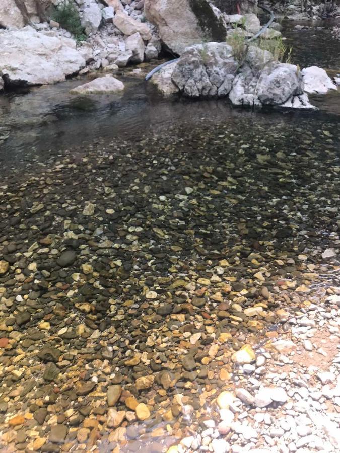 Odmaraliste Vlasko Zdrelo Πίροτ Εξωτερικό φωτογραφία