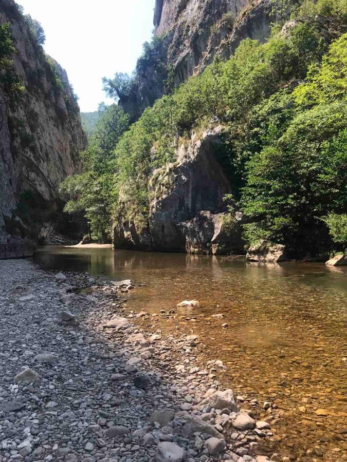 Odmaraliste Vlasko Zdrelo Πίροτ Εξωτερικό φωτογραφία