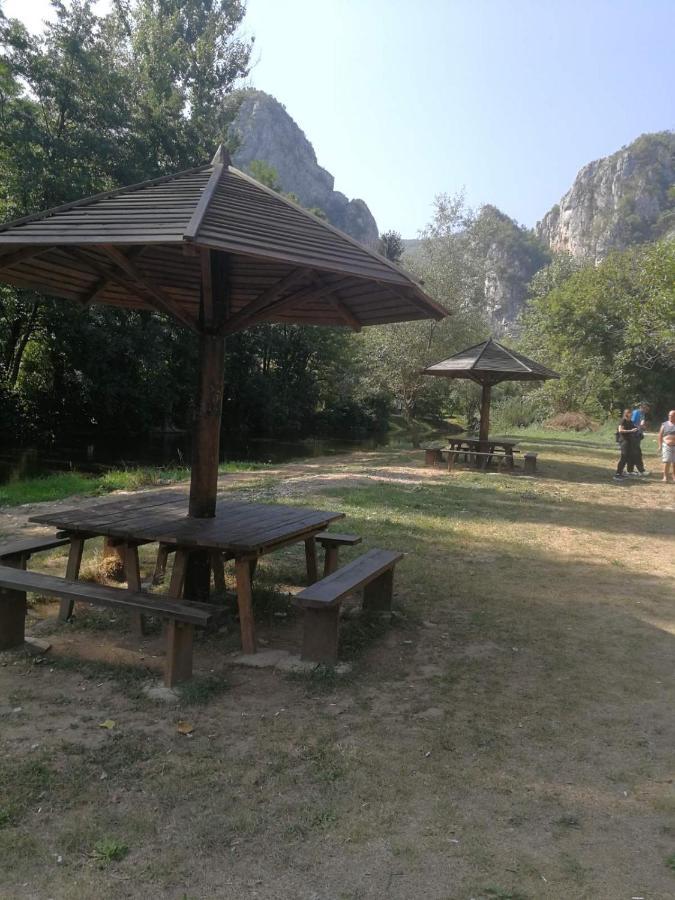 Odmaraliste Vlasko Zdrelo Πίροτ Εξωτερικό φωτογραφία