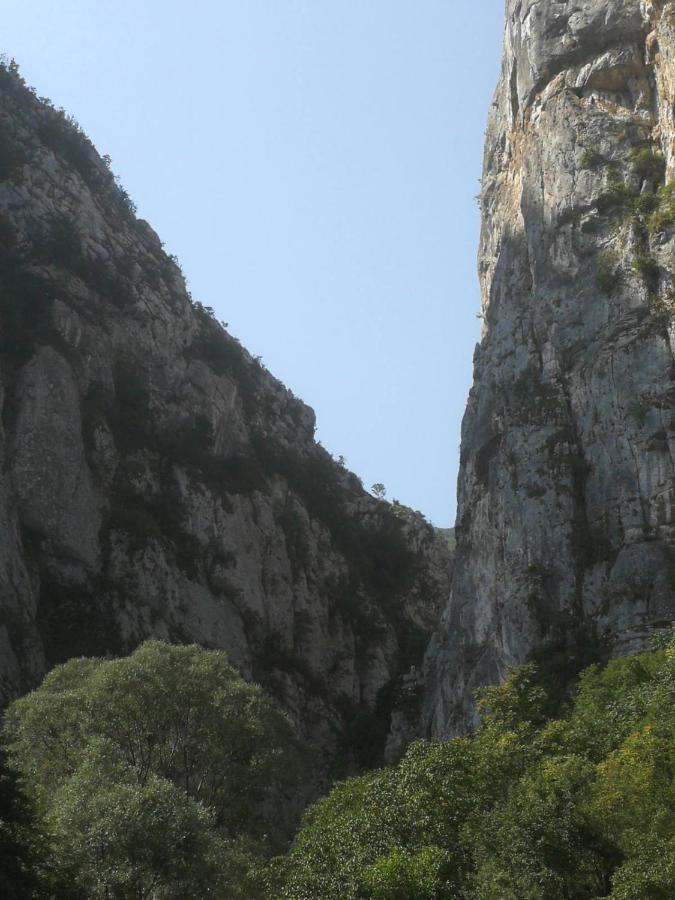 Odmaraliste Vlasko Zdrelo Πίροτ Εξωτερικό φωτογραφία