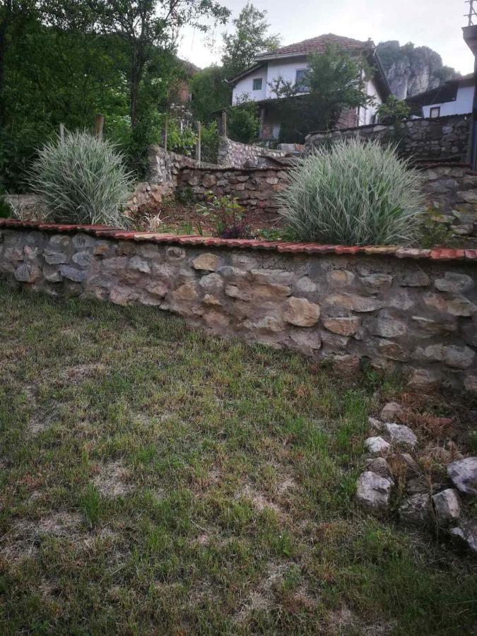 Odmaraliste Vlasko Zdrelo Πίροτ Εξωτερικό φωτογραφία